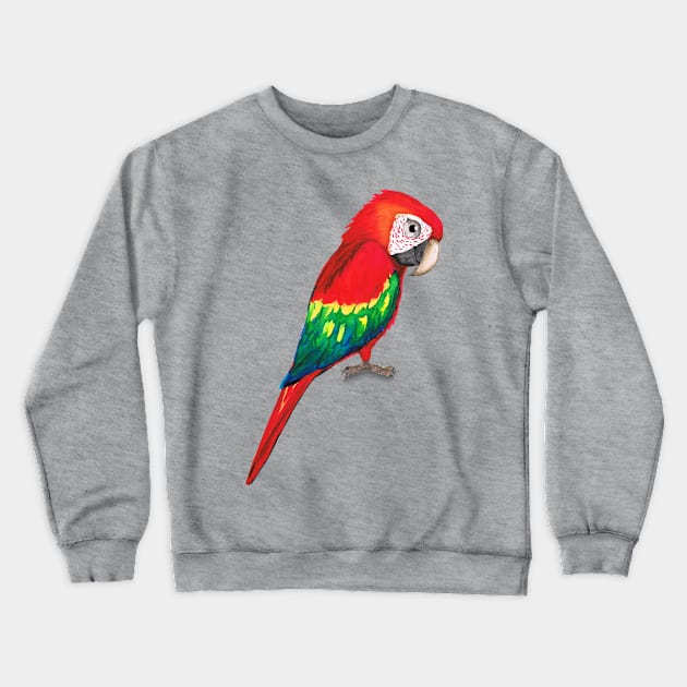 Scarlet macaw Crewneck Sweatshirt by Bwiselizzy